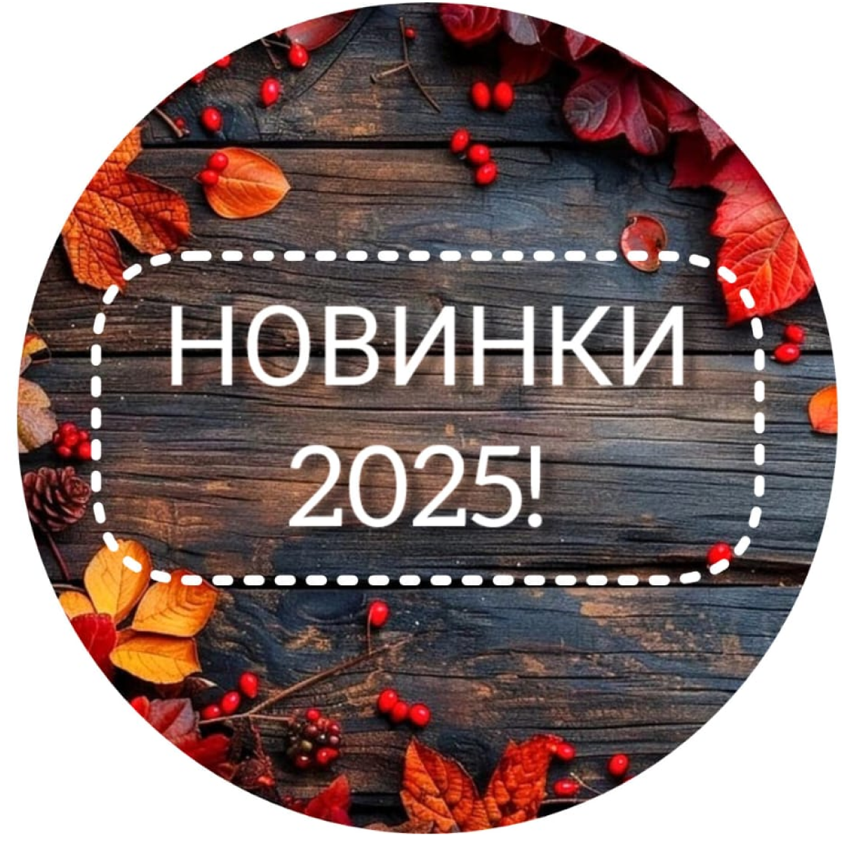 Новинки 2025